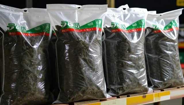 如何通过方案定制提升团队建设效果？
