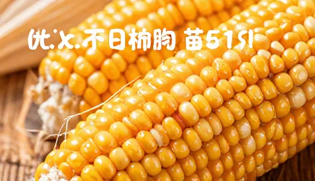 农机使用中润滑不良如何影响设备寿命