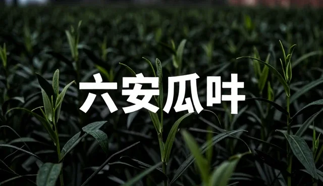 地方特色食品如何通过质量关实现品类丰富