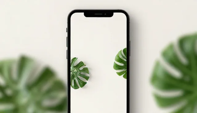 技术开发的性能适用条件与限制分析
