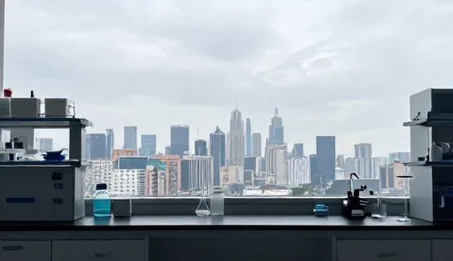 廊坊网站制作：自建与外包的取舍比较