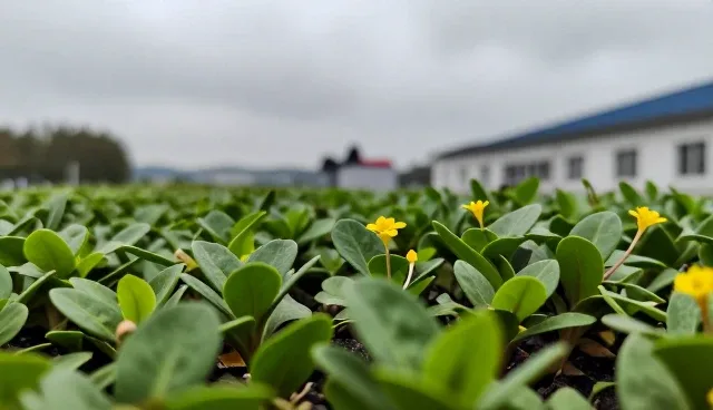 商业地坪响应式服务应用场景分析与检查要点