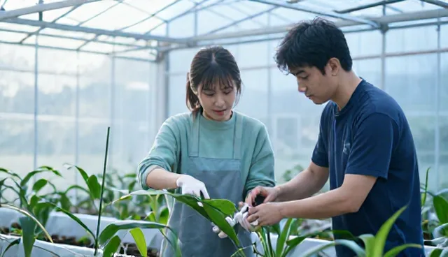 农机种植技术指导的适用条件与选择依据