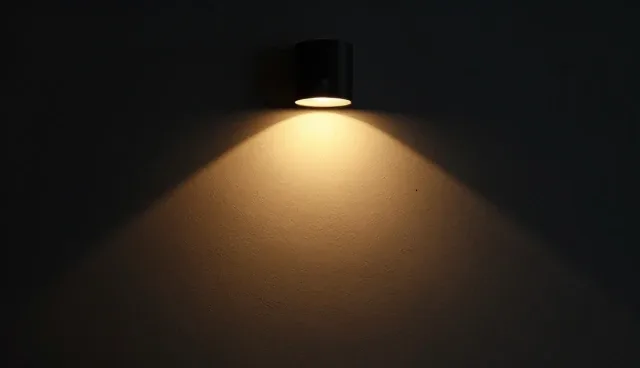 种苗供应服务中的常见误区与正确理解