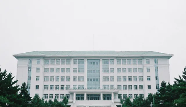信息技术咨询中维护策略的选择依据与适用条件