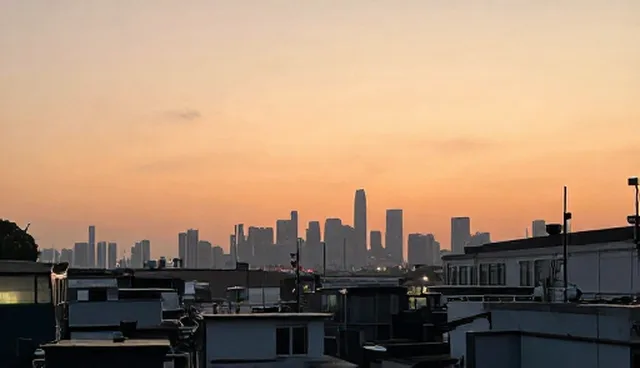 商务信息咨询适用条件及选型建议