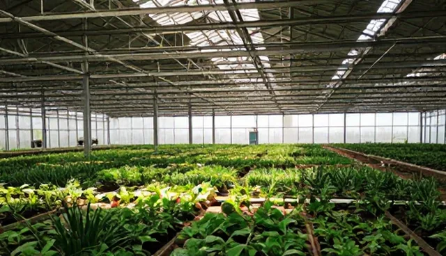 短视频运营的适用场景与技术限制分析