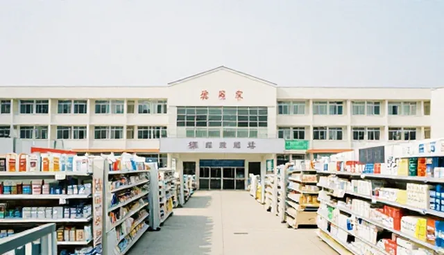 一件代发服务：日用百货行业的趋势与挑战