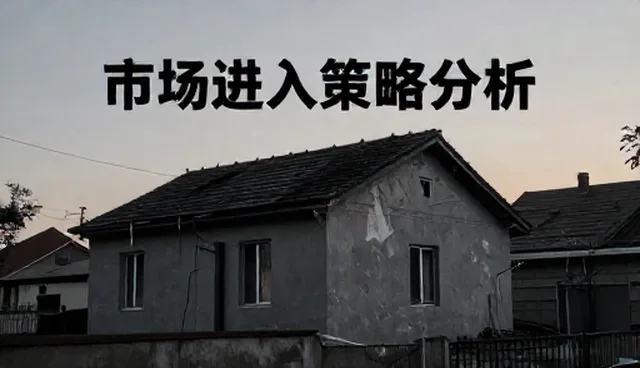 策划业务中信息咨询分析方法的检查要点