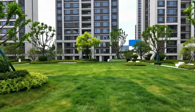 短视频营销服务适用条件及选择依据说明