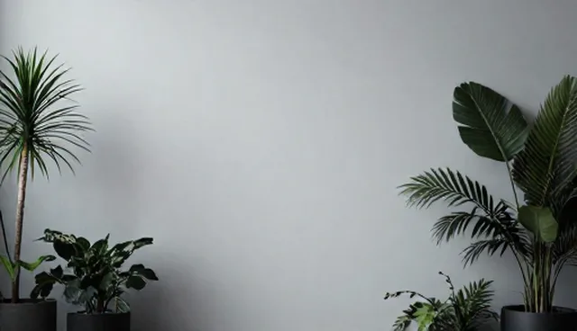 电商代运营服务的性能与适用条件检查要点
