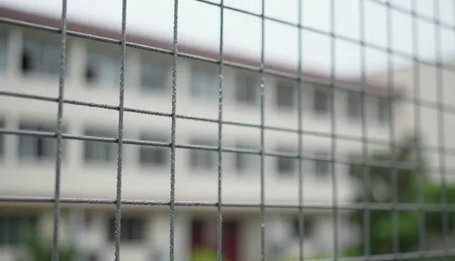 镀锌丝网售后支持：环境适应性分析