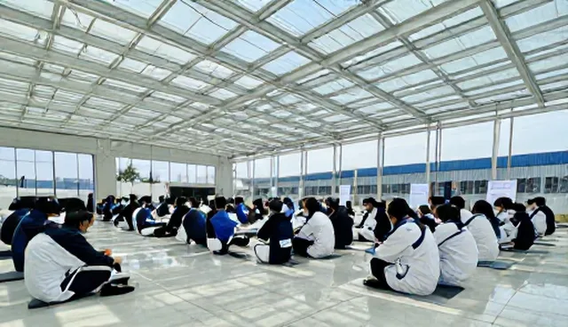 组织结构：技术培训的适用条件分析