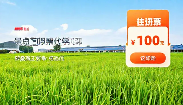商务考察如何提高团队协作效率？