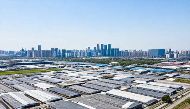 软件开发：对比分析应用场景常见问题与处理方法