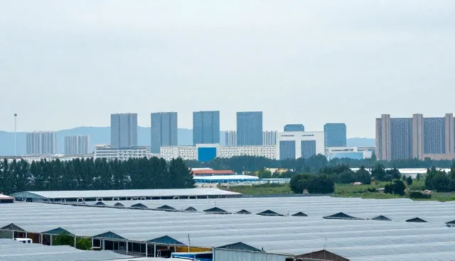 企业名录查询：两种做法对比与实际取舍