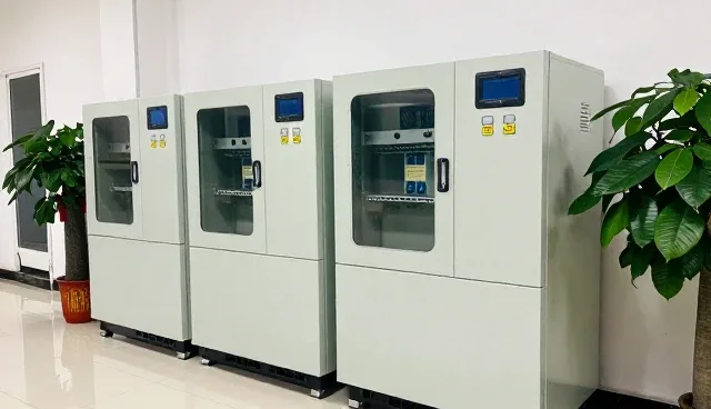 系统整合中的技术应用与实施过程分析