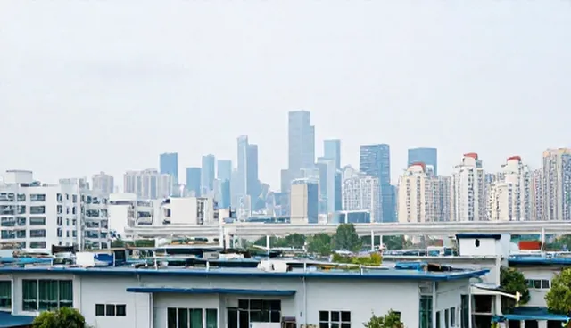 软件研发中缓存策略的选型与维护建议