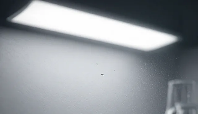财税咨询服务选型标准与应用场景分析