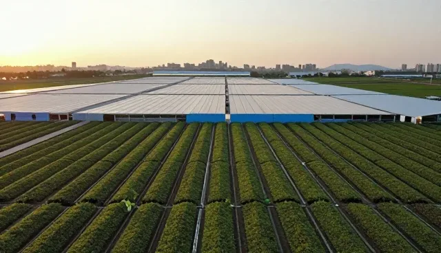 农产品收购中的质量检测与合同执行要点