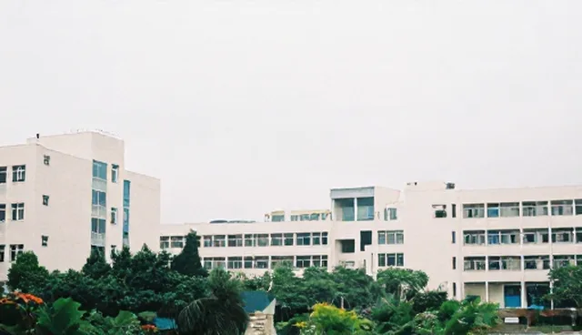 信息咨询服务如何帮助企业在技术选型中规避误区