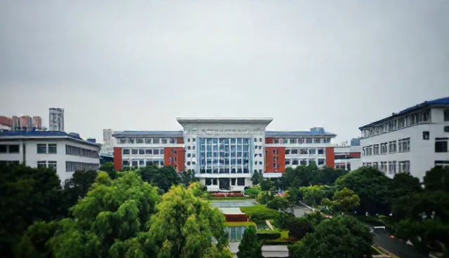 信息技术研发检查要点的适用情况与限制