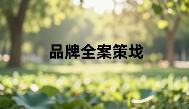 选题方向对品牌全案策划效果的影响分析