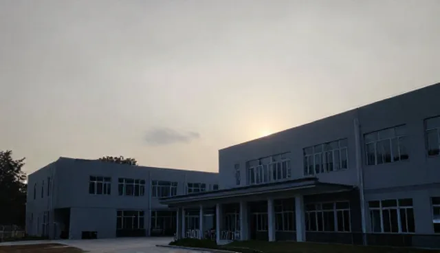 企业应对金融风险：两种做法的对比与取舍