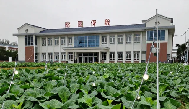 农业技术推广选型关注点与渠道供货限制