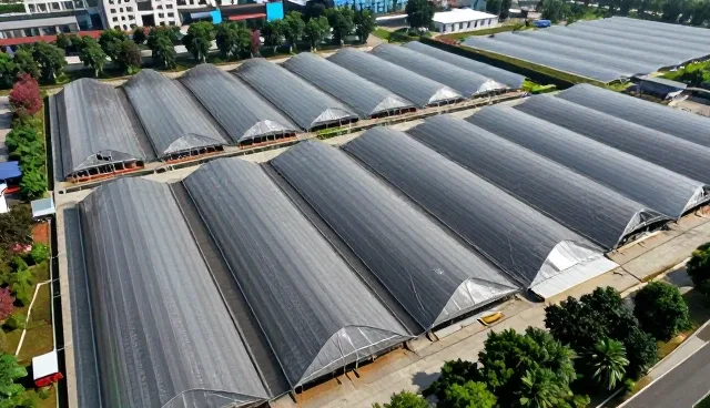 运输路径选择如何影响物流成本与效率