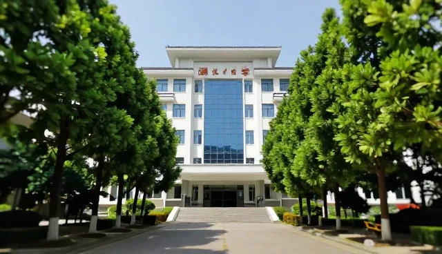 电商运营中网络不稳定问题的处理方法