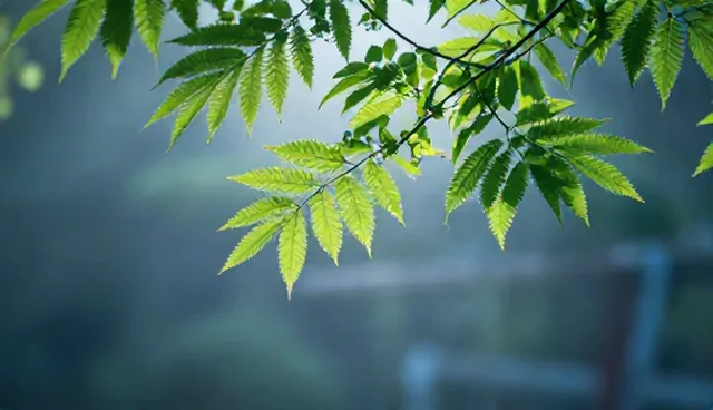 医疗服务中如何有效注重成本控制