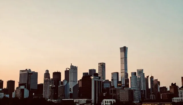 项目管理中信息咨询软件的性能与适用条件分析