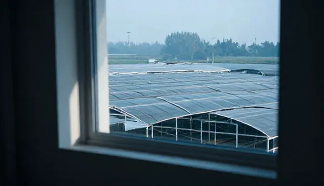 网络技术开发：短视频运营的使用与维护建议