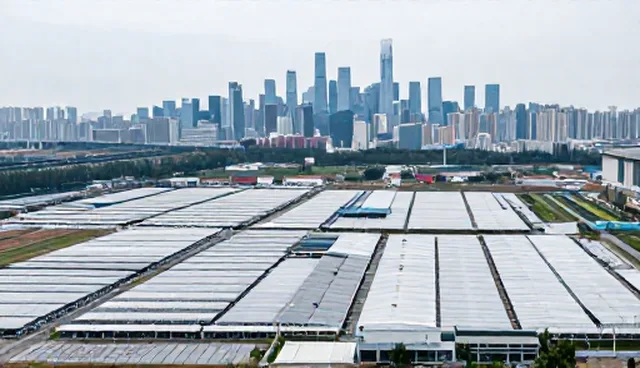 地区成果转化项目如何实现高效落地