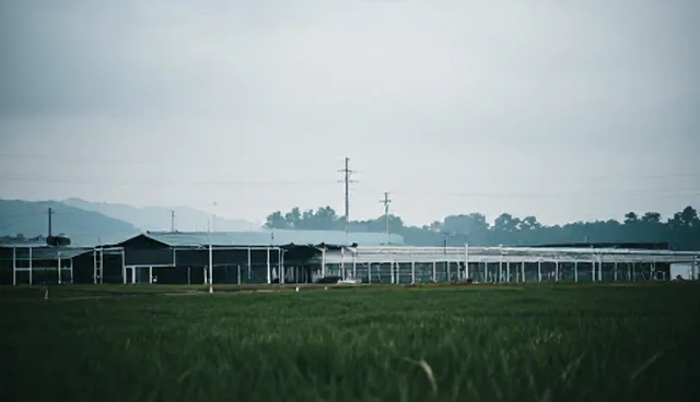 产品设计服务全流程跟进的适用场景与选择依据