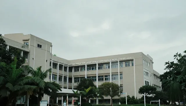 安装调试服务适用条件与选择依据分析