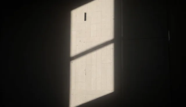 干线运输成本控制的选型与维护建议