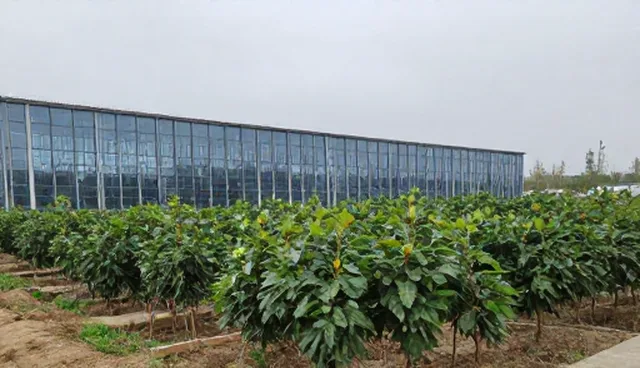 农机项目中农资供应的适用条件与选择依据