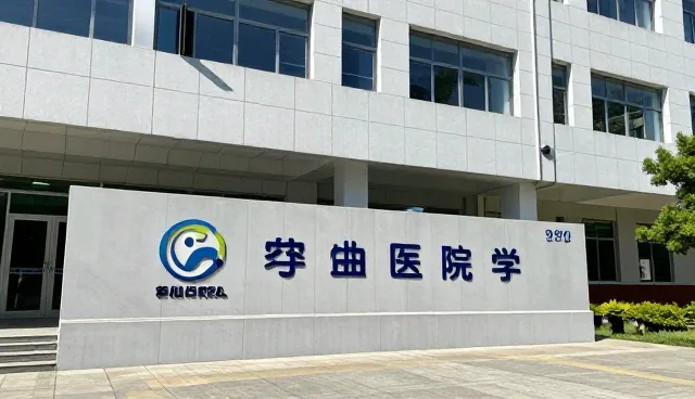 装卸搬运中的设备性能对库存管理效率的影响