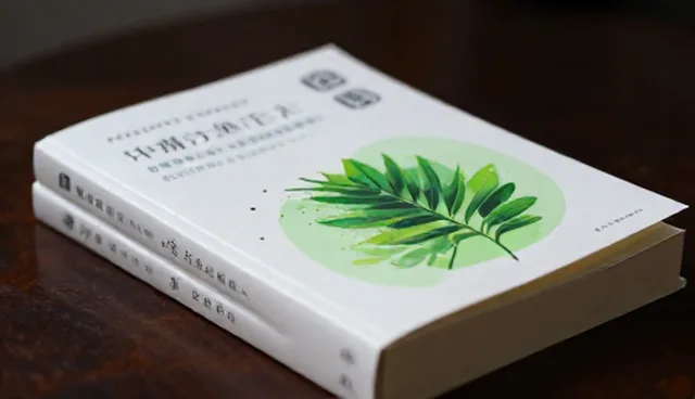 团体定制在市场趋势中的适用情况与限制