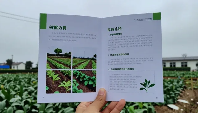 种植技术指导：农业技术研发如何推动基地合作发展