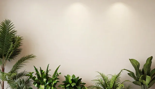 黄页优惠查询适用条件，如何合理选择