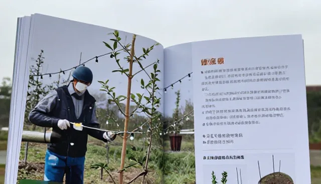 农产品酸碱度异常，如何处理？