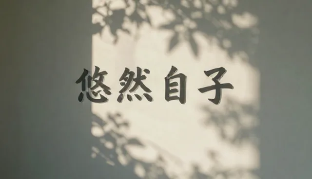 拍摄流程的适用情况与限制分析