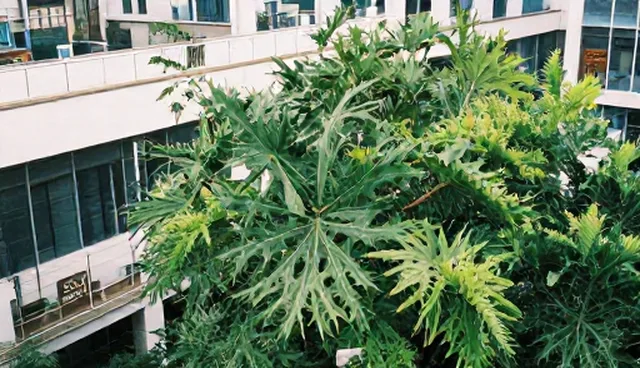 成果转化中的性能差异：适用情况与限制分析
