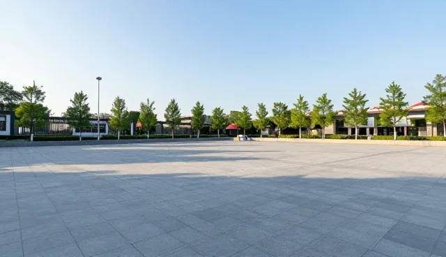 方案优化：应用场景分析与业务发展趋势