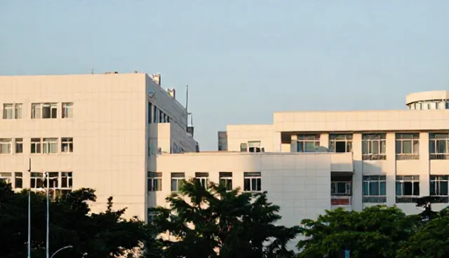 信息咨询服务如何提升企业信息技术开发效率