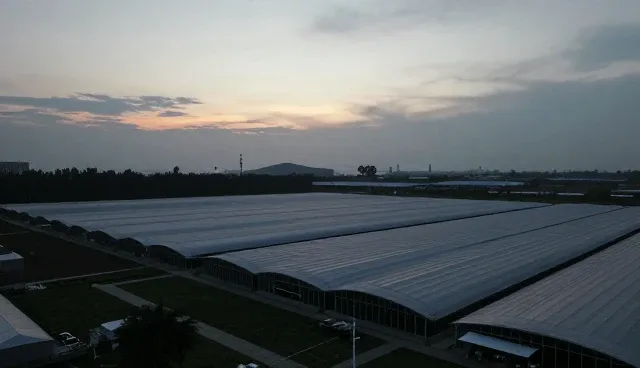 服务评估中的选型关注点及绩效提升方向