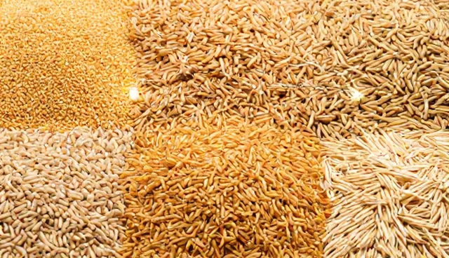 粮食类组合包装设计的适用情况与限制